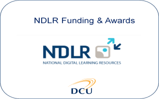 NDLR Call for Funding